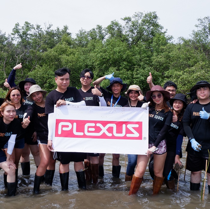 plexus team volunteering