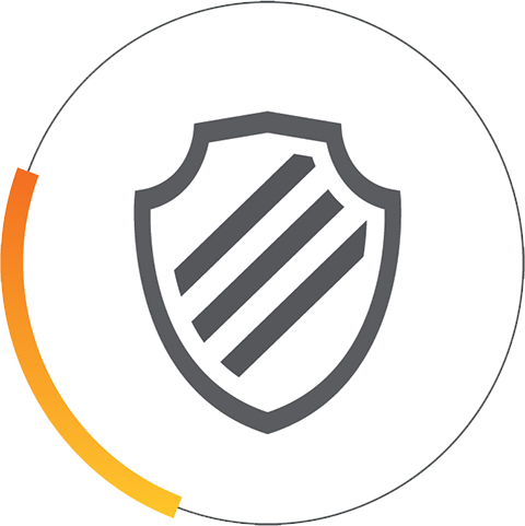 Risk Badge Icon