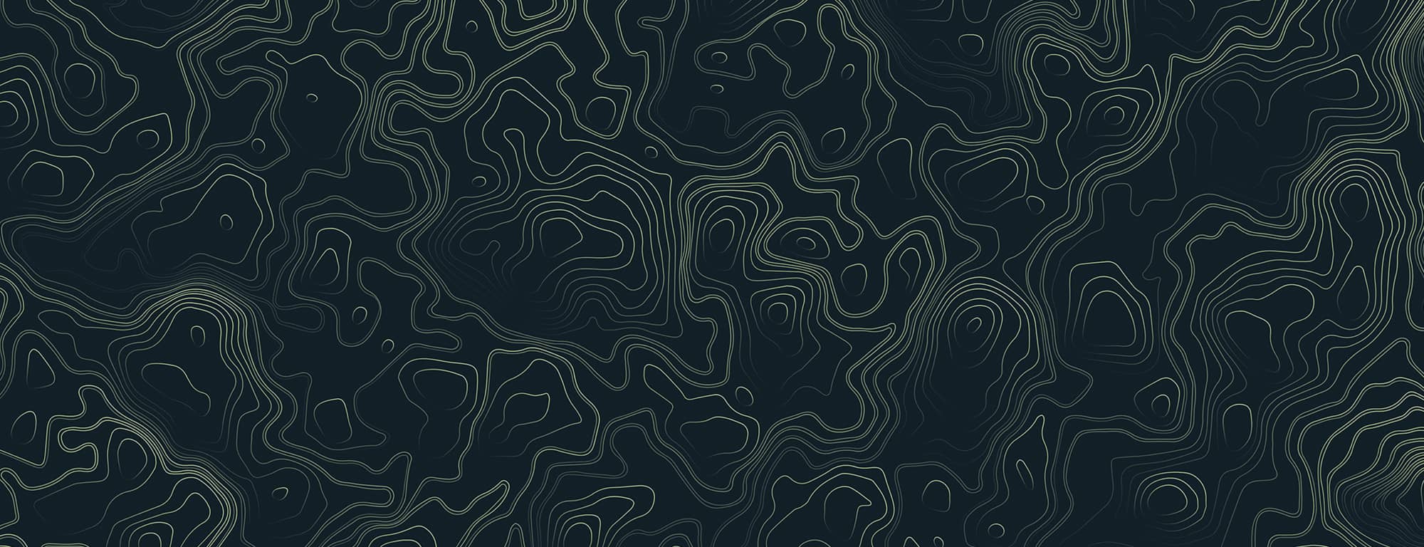 Abstract dark topographic contour lines forming a wavy, map-like pattern.